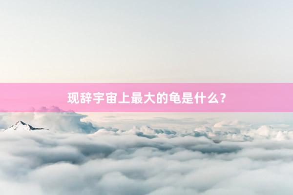 现辞宇宙上最大的龟是什么？